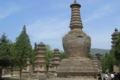 93521303901d051-7