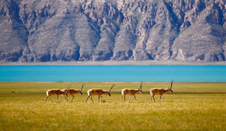 Escapade Tibet