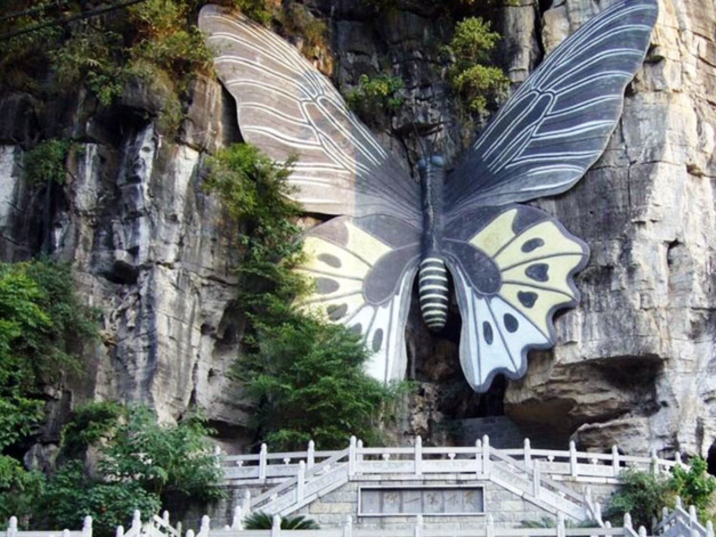 Butterfly Spring