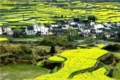 Wuyuan