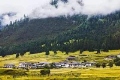 Lulang Forest 1