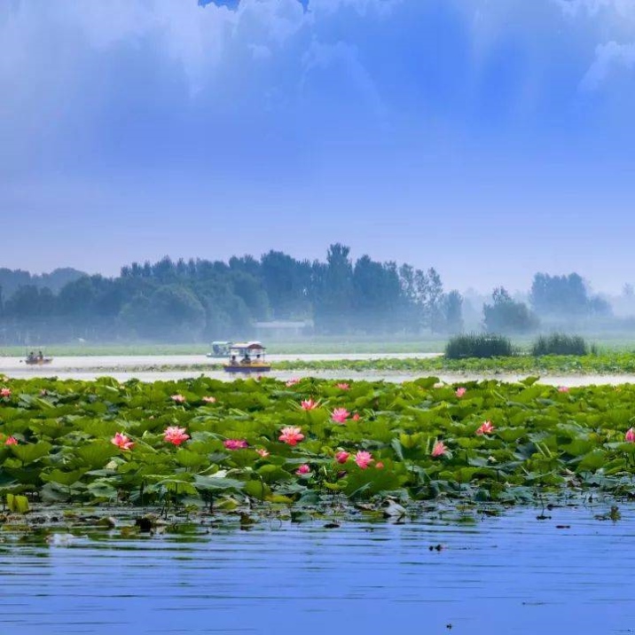 Baiyun Lake