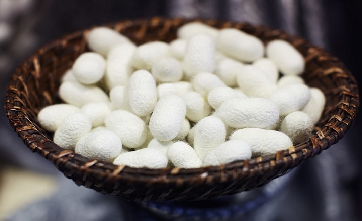 Chongqing opens the first Sericulture Street