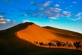 Dawa desert 02
